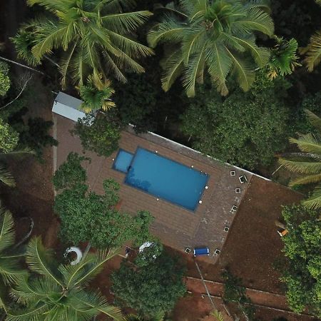 Paddyfield Inn Mananthavady Bagian luar foto