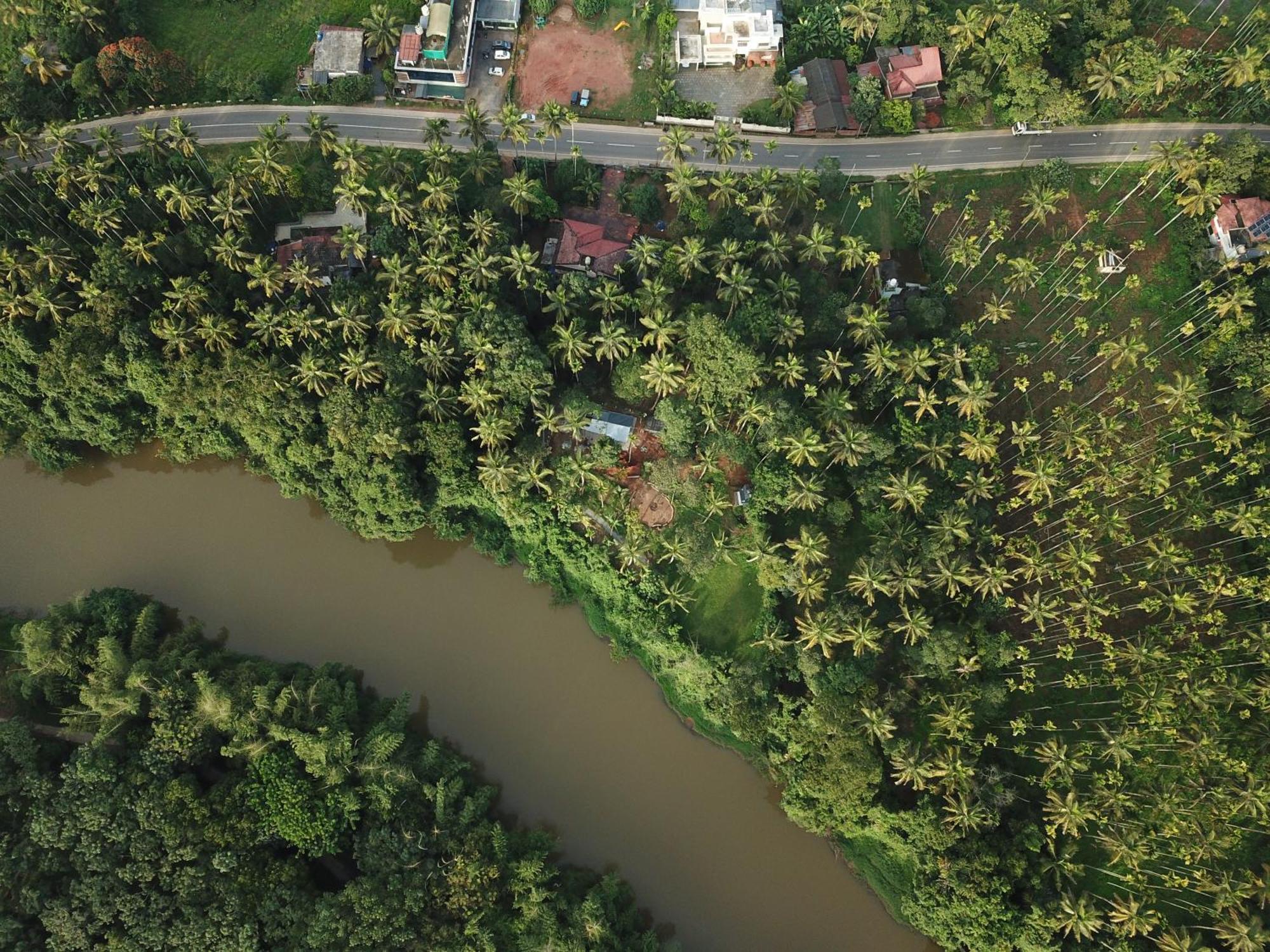 Paddyfield Inn Mananthavady Bagian luar foto