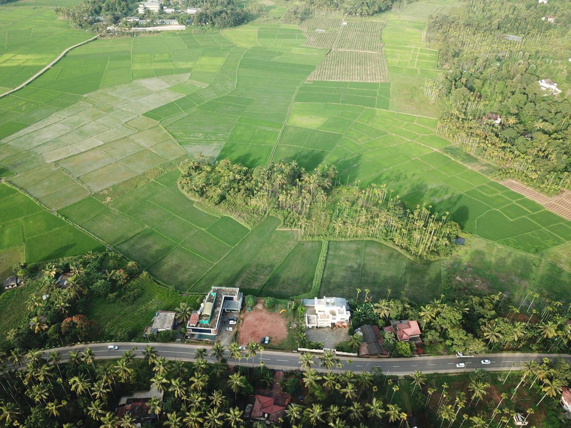 Paddyfield Inn Mananthavady Bagian luar foto