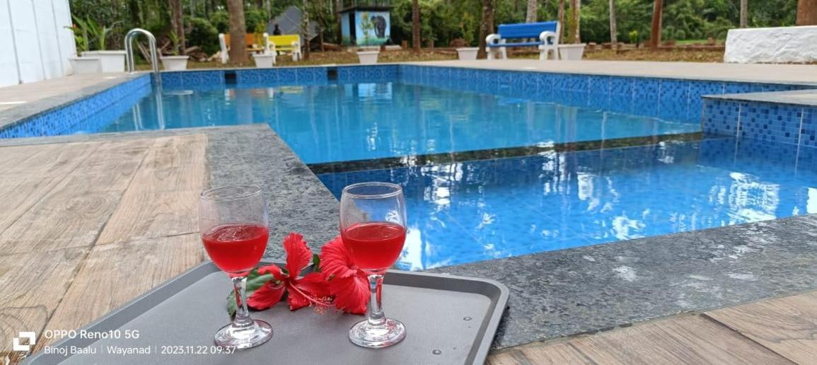 Paddyfield Inn Mananthavady Bagian luar foto