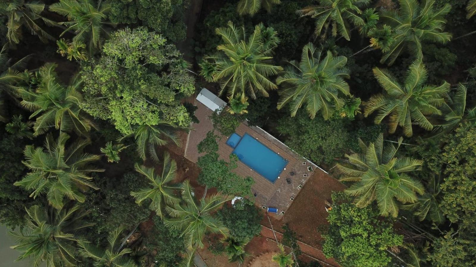 Paddyfield Inn Mananthavady Bagian luar foto
