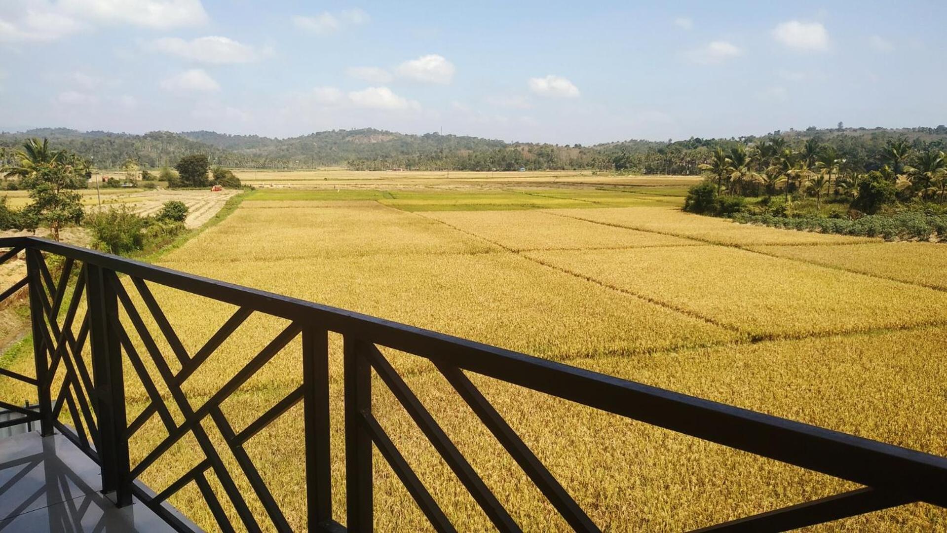 Paddyfield Inn Mananthavady Bagian luar foto