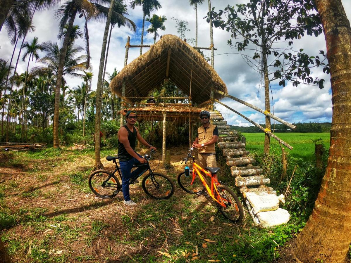 Paddyfield Inn Mananthavady Bagian luar foto